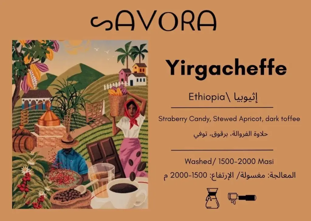 Yirgacheffe - اثيوبيا
